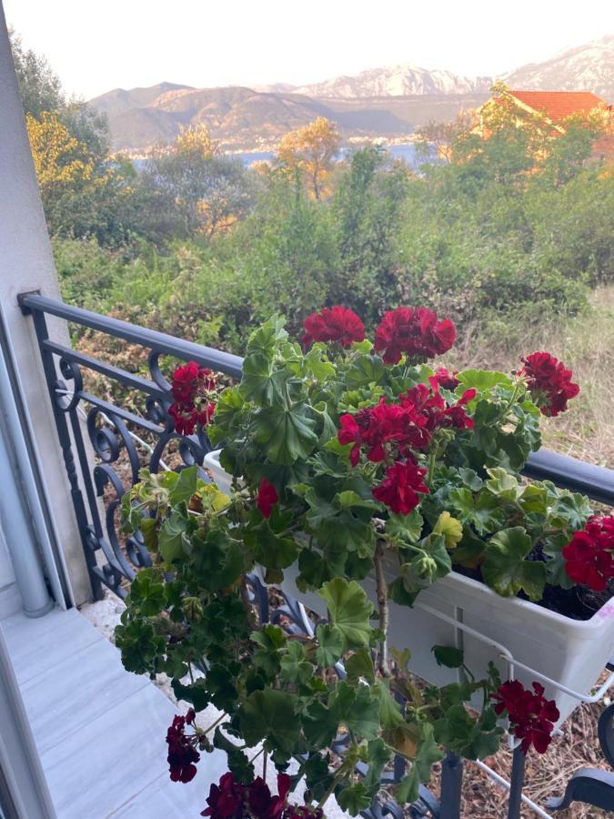 Villa Mare Apartments Tivat Eksteriør bilde