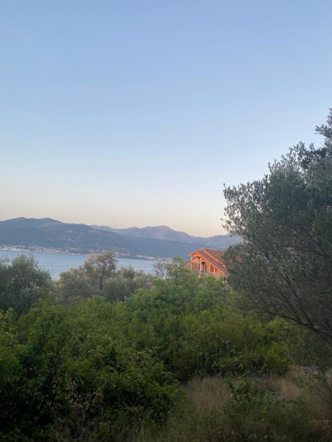 Villa Mare Apartments Tivat Eksteriør bilde