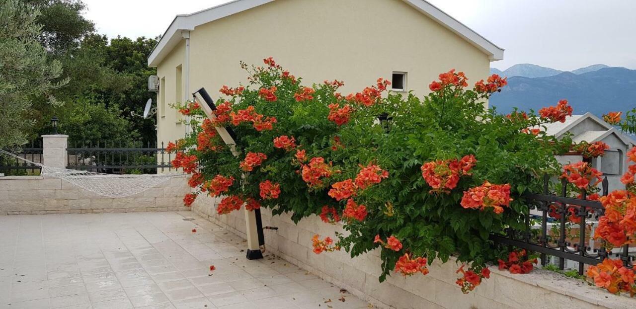 Villa Mare Apartments Tivat Eksteriør bilde